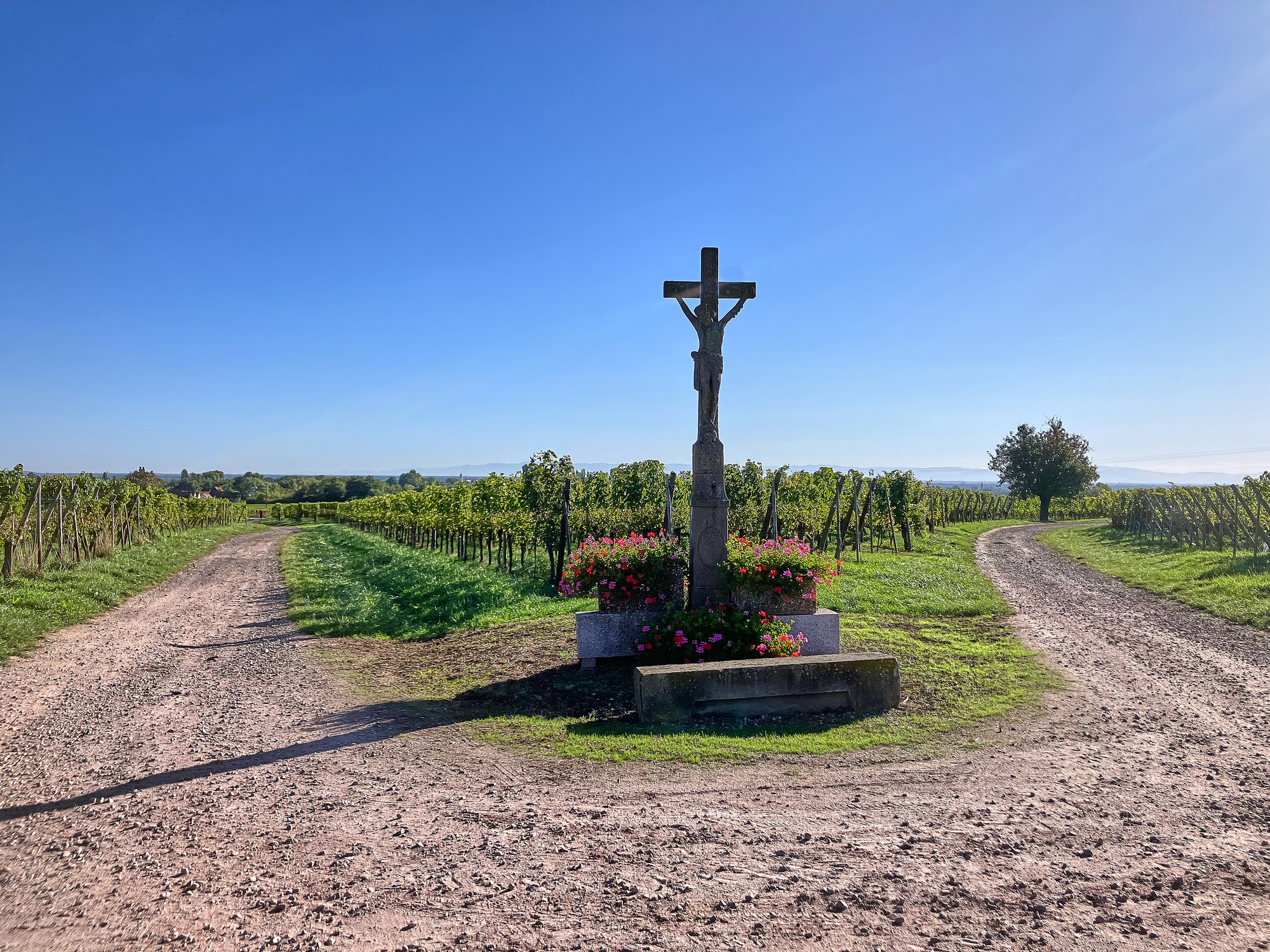 Weg, Wahrheit und Leben